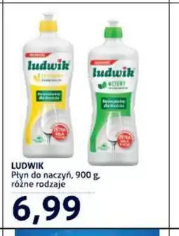 Blue Stop Ludwik płyn do naczyń oferta