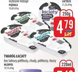 MOKPOL Twaróg Laciate oferta