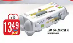 MOKPOL Invest Michel Jaja ekologiczne M oferta