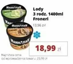 Torimpex Lody Froneri oferta