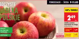 Biedronka Jabłko polskie czerwone na wagę oferta