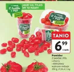 Intermarche Pomidor daktylowy oferta