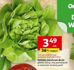 Auchan Sałata masłowa oferta