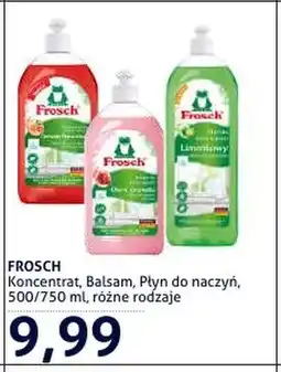 Blue Stop Płyn do naczyń Frosch oferta