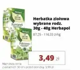 Torimpex Herbatka ziołowa Herbapol oferta