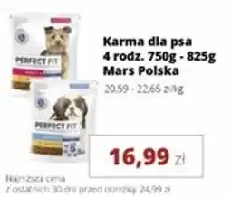 Torimpex Karma dla psa Mars Polska oferta