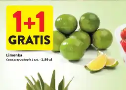 Intermarche Limonka oferta