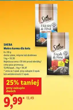 Lidl Mokra karma dla kota dania rybne oferta