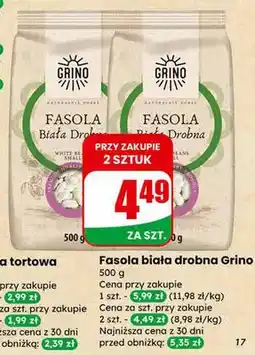 Dino Fasola biała drobna oferta