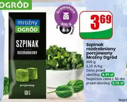 Dino Szpinak rozdrobniony porcjowany oferta