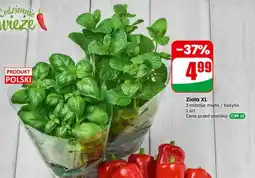 Dino Papryka słodka szpiczasta oferta