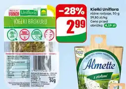 Dino Serek Almette z ziołami oferta