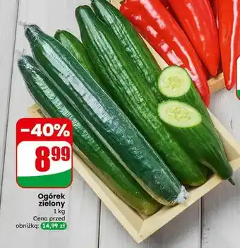 Dino Ogórek zielony oferta