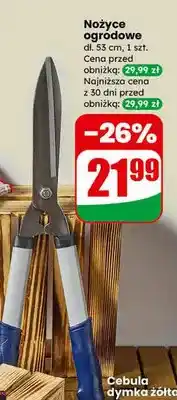 Dino Nożyce ogrodowe oferta