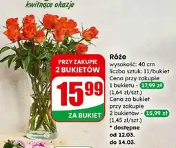 Dino Róże bukiet oferta