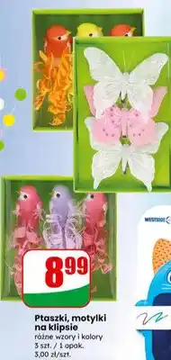 Dino Ptaszki, motylki na klipsie różne wzory i kolory oferta