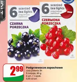 Dino Podgrzewacze zapachowe czerwona porzeczka oferta