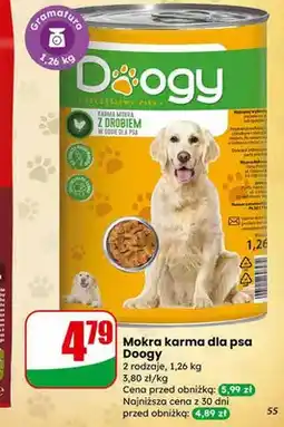 Dino Mokra karma z drobiem oferta