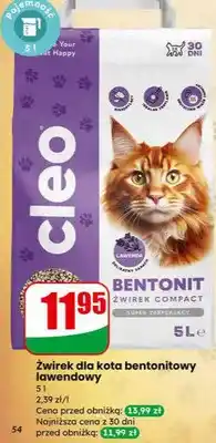 Dino Żwirek dla kota bentonitowy lawendowy oferta