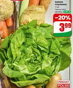 Dino Sałata masłowa oferta