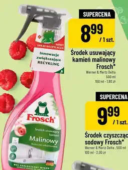 Polomarket Środek usuwający kamień malinowy Frosch oferta