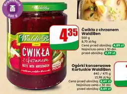 Dino Ćwikła z chrzanem WaldiBen oferta
