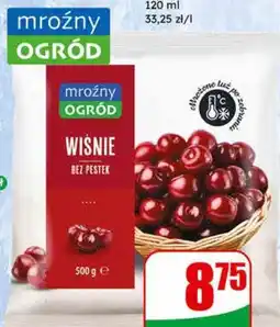 Dino Wiśnie bez pestek Mroźny Ogród oferta
