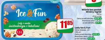 Dino Lody Ice & Fun oferta