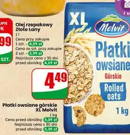 Dino Płatki owsiane górskie XL Melvit oferta