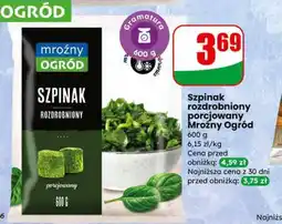 Dino Szpinak rozdrobniony porcjowany Mroźny Ogród oferta