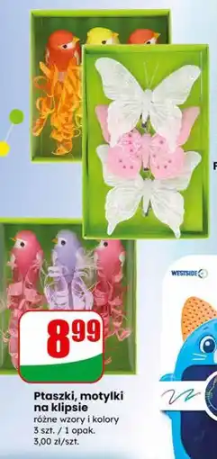 Dino Ptaszki, motylki na klipsie oferta