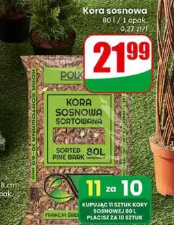 Dino Kora sosnowa 80 l / 1 opak oferta