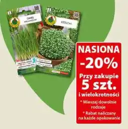 Dino Nasiona oferta