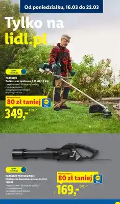 Lidl Elektryczna dmuchawa osiowa do liści oferta