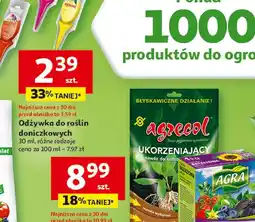 Auchan Odżywka do storczyków Agrecol oferta