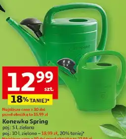 Auchan Konewka Spring oferta