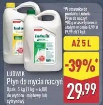 ALDI Płyn do mycia naczyń oferta