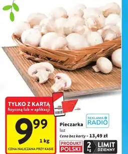Intermarche Pieczarka luz oferta