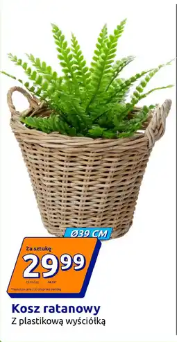 Action Kosz ratanowy oferta