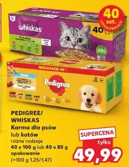 Kaufland Karma dla psów lub kotów różne rodzaje oferta