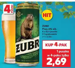 Kaufland Żubr Piwo 6% alk oferta