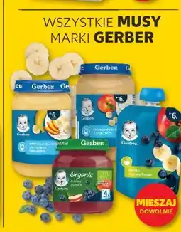 Kaufland WSZYSTKIE MUSY MARKI GERBER oferta