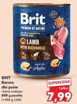 Kaufland BRIT Karma dla psów różne rodzaje oferta