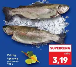 Kaufland Pstrąg tęczowy patroszony oferta