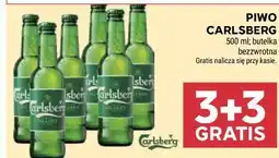 Stokrotka Piwo Carlsberg oferta