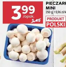 Stokrotka PIECZARKI MINI oferta
