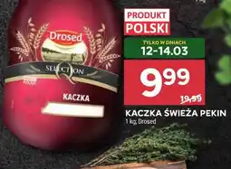 Stokrotka KACZKA ŚWIEŻA PEKIN oferta