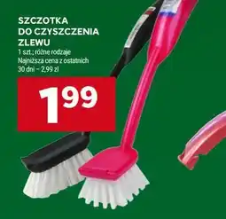 Stokrotka SZCZOTKA DO CZYSZCZENIA ZLEWU oferta