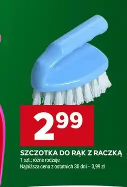 Stokrotka SZCZOTKA DO RĄK Z RĄCZKĄ oferta