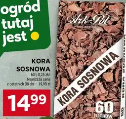 Stokrotka KORA SOSNOWA oferta